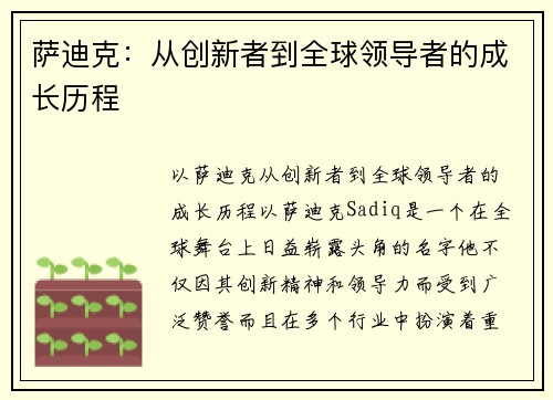 萨迪克：从创新者到全球领导者的成长历程