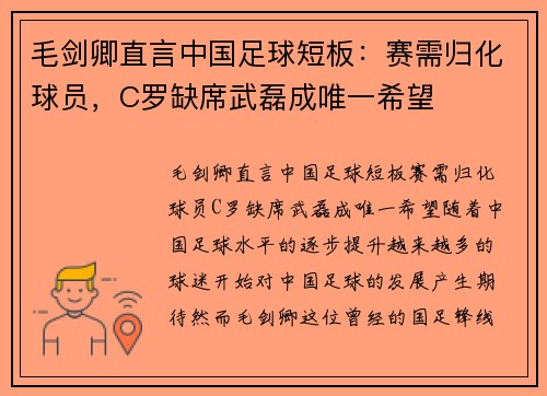 毛剑卿直言中国足球短板：赛需归化球员，C罗缺席武磊成唯一希望