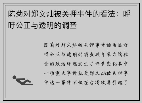 陈菊对郑文灿被关押事件的看法：呼吁公正与透明的调查