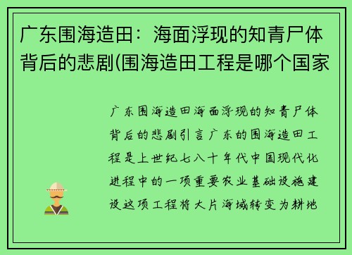 广东围海造田：海面浮现的知青尸体背后的悲剧(围海造田工程是哪个国家)